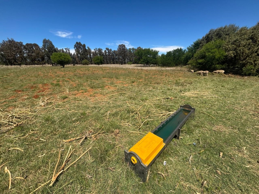 Commercial Property for Sale in Bainsvlei Free State